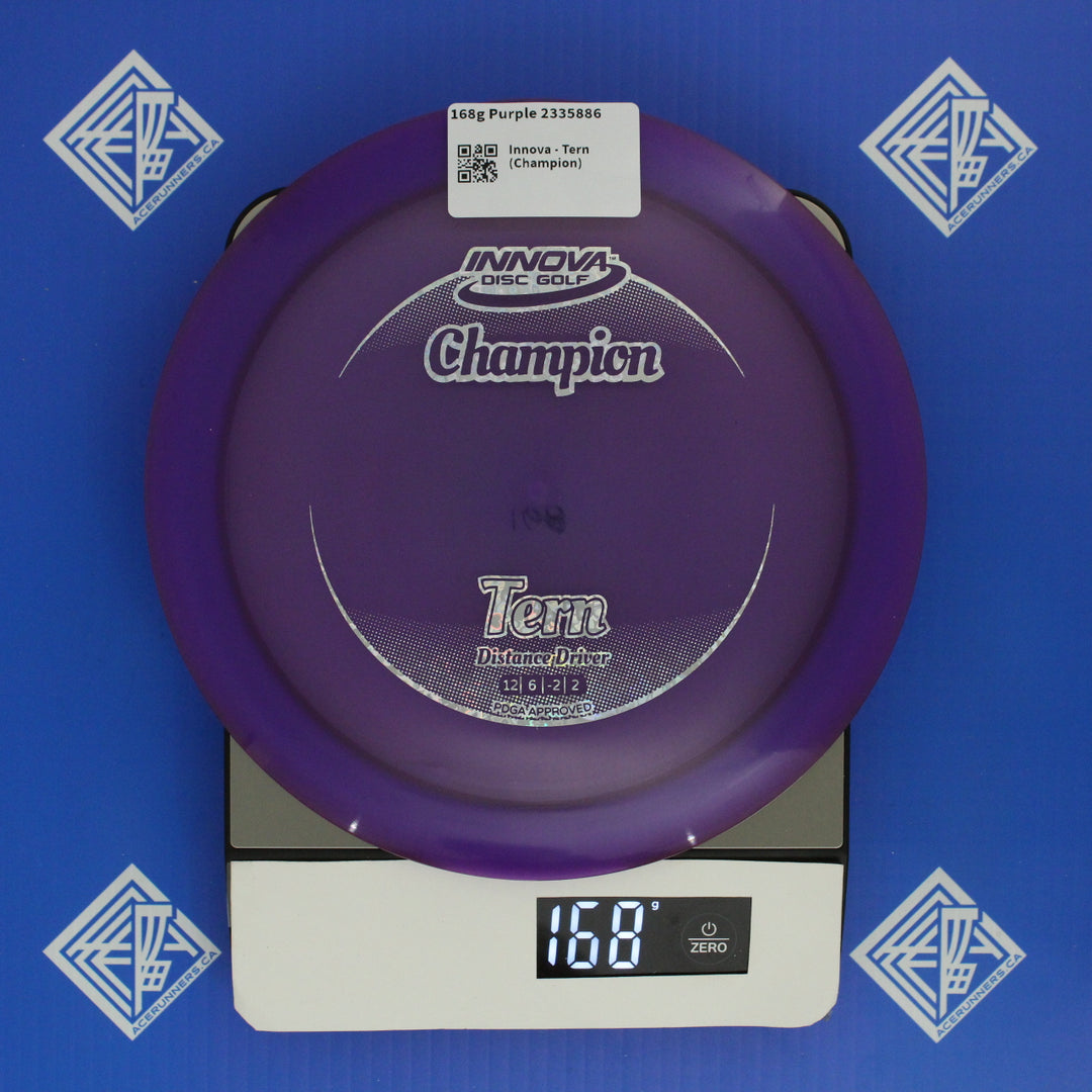 Innova - Tern (Champion)