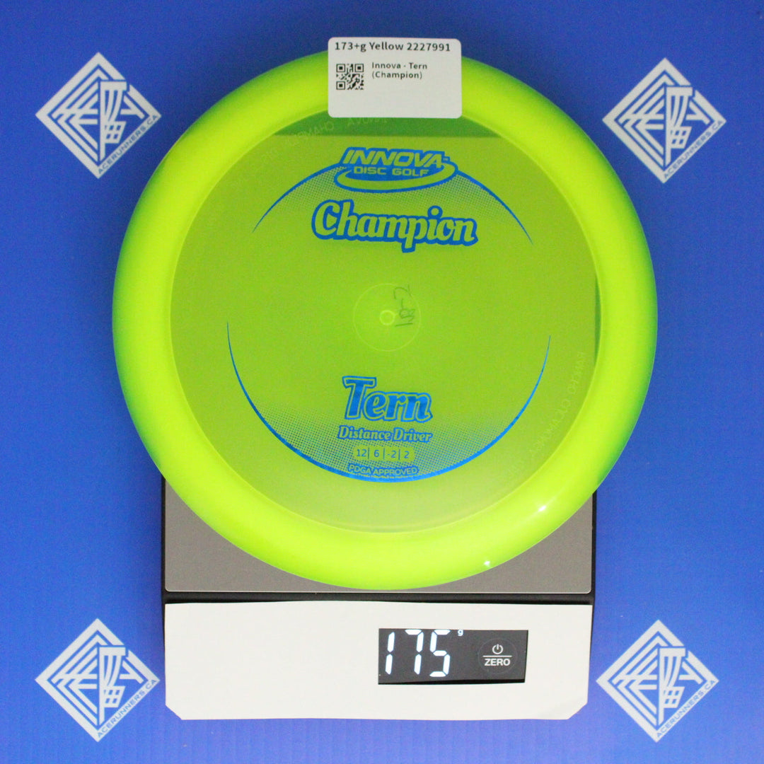 Innova - Tern (Champion)