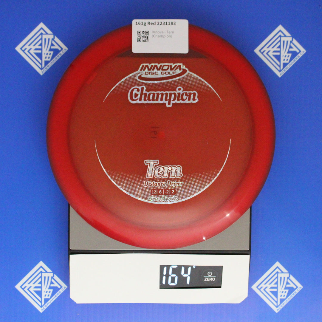 Innova - Tern (Champion)