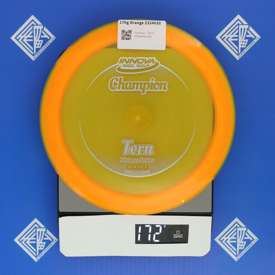 Innova - Tern (Champion)